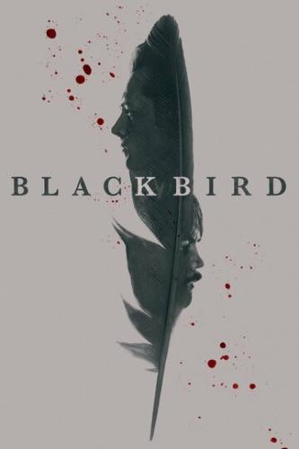 Фильм Чёрная птица / Black Bird (2022)
