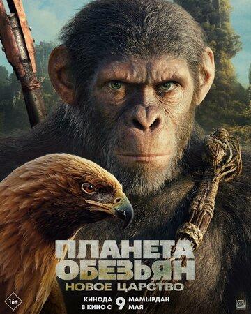   :   / Kingdom of the Planet of the Apes (2024)